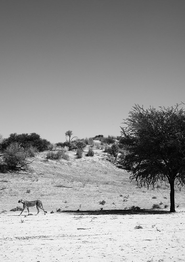Loner art print by Shot by Clint for $57.95 CAD