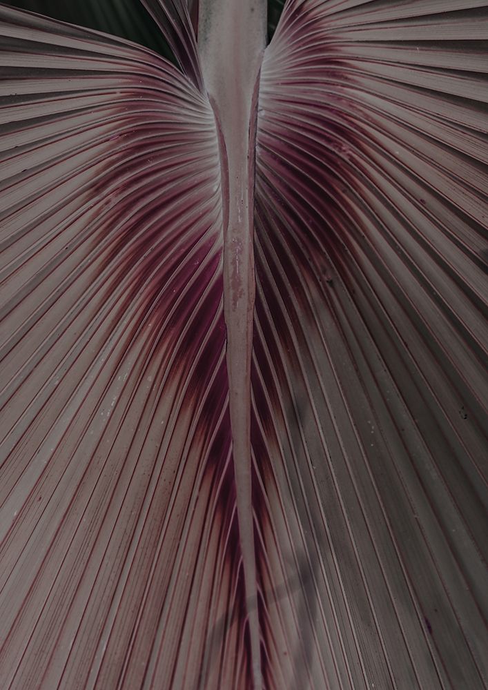 Love Palm art print by Shot by Clint for $57.95 CAD