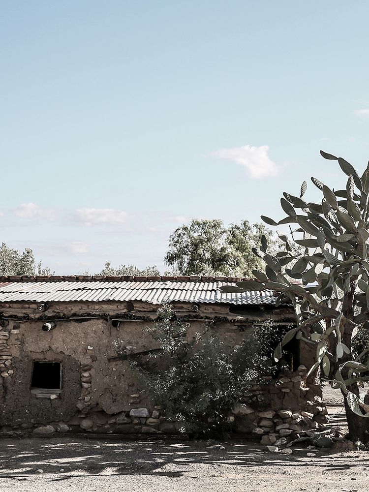 Mexi art print by Shot by Clint for $57.95 CAD