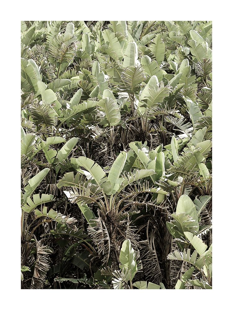 Mgazi art print by Shot by Clint for $57.95 CAD