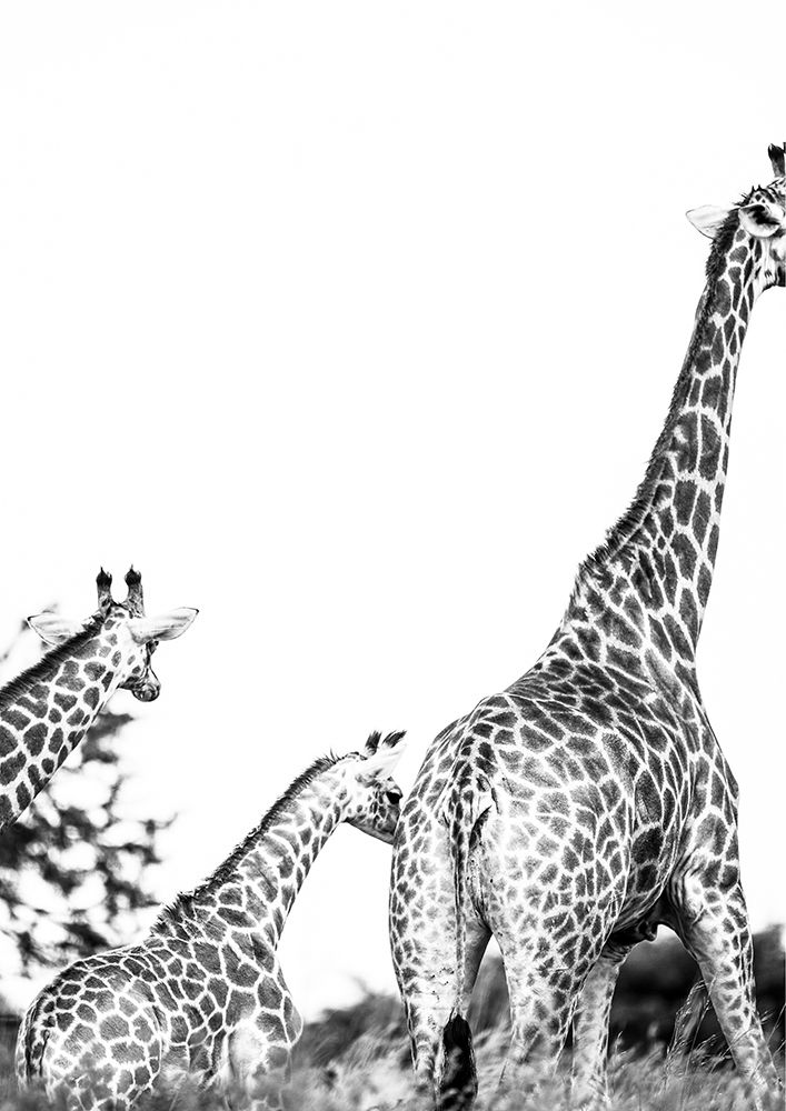 Mothers Child art print by Shot by Clint for $57.95 CAD