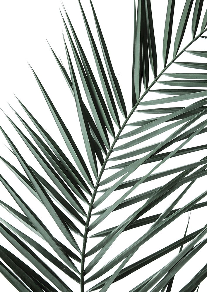 My Mint Moment 19 art print by Shot by Clint for $57.95 CAD