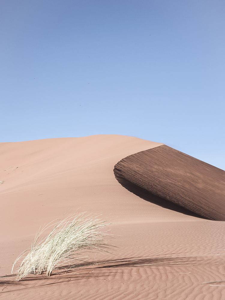 Namib Two art print by Shot by Clint for $57.95 CAD