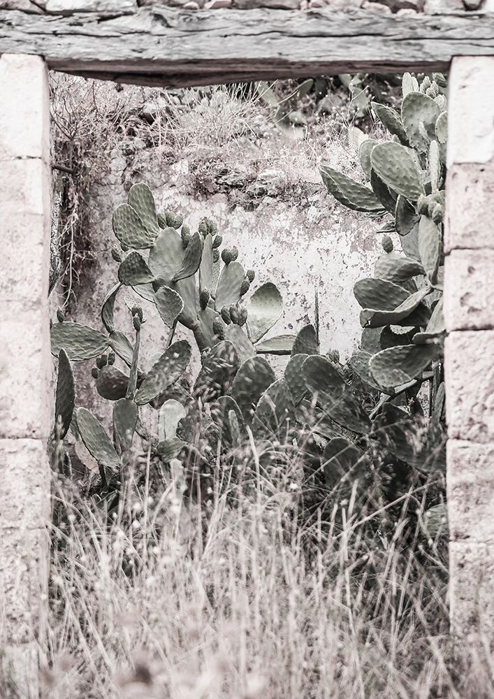 Nature Rules art print by Shot by Clint for $57.95 CAD