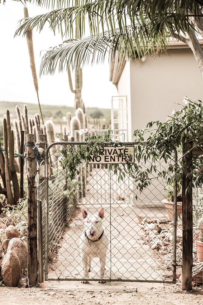No Entry art print by Shot by Clint for $57.95 CAD