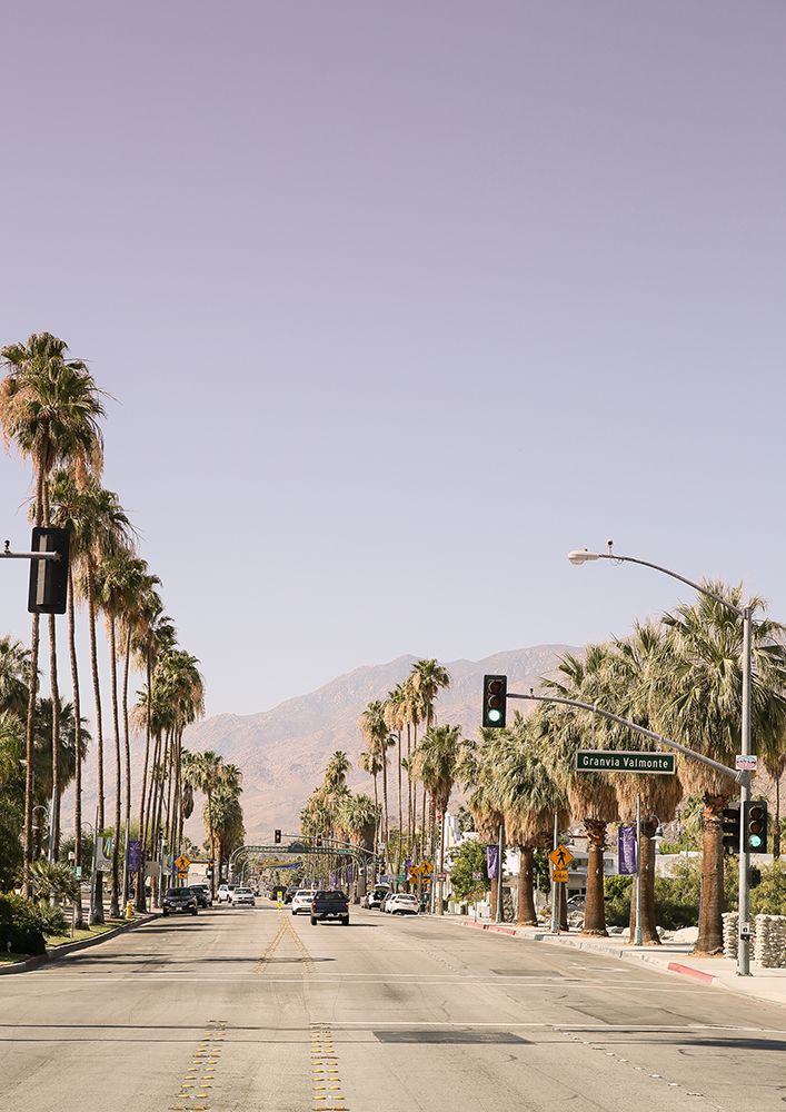 Palm Spring art print by Shot by Clint for $57.95 CAD