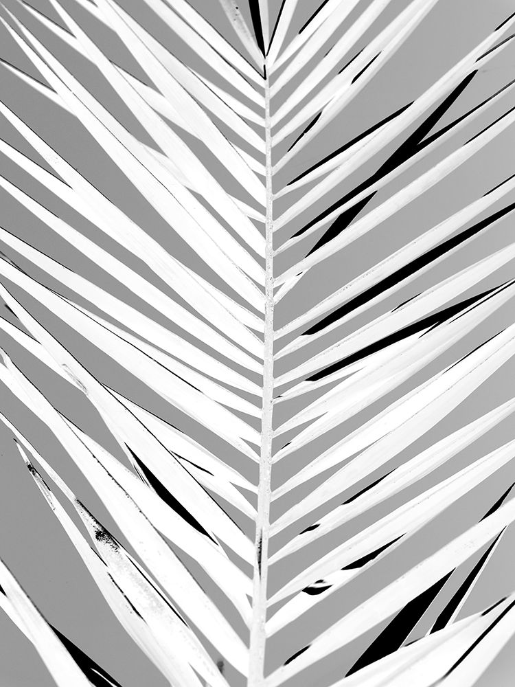 Patroon art print by Shot by Clint for $57.95 CAD