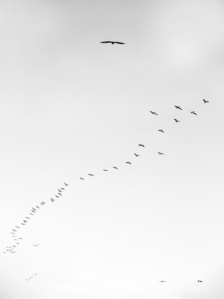 Pismo 03 art print by Shot by Clint for $57.95 CAD