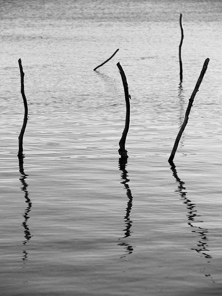 Reflect art print by Shot by Clint for $57.95 CAD