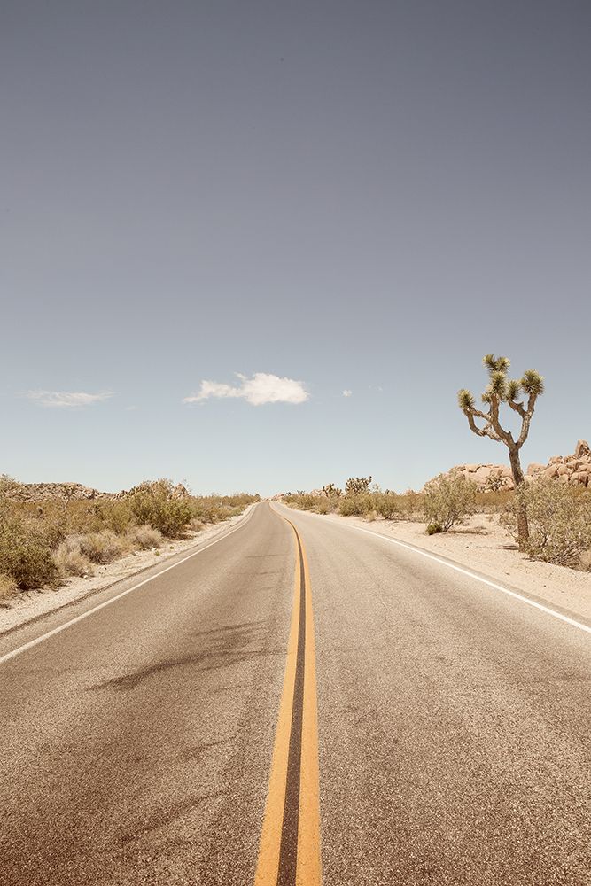 Road To Nowhere art print by Shot by Clint for $57.95 CAD