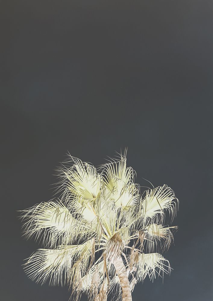 Robusta art print by Shot by Clint for $57.95 CAD