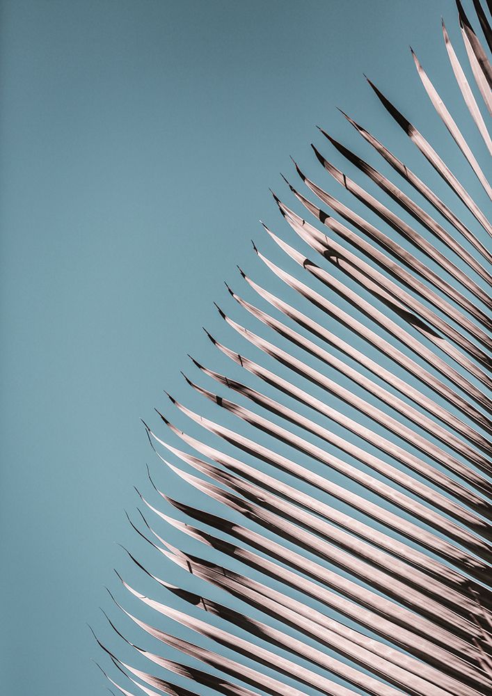 Sabi art print by Shot by Clint for $57.95 CAD