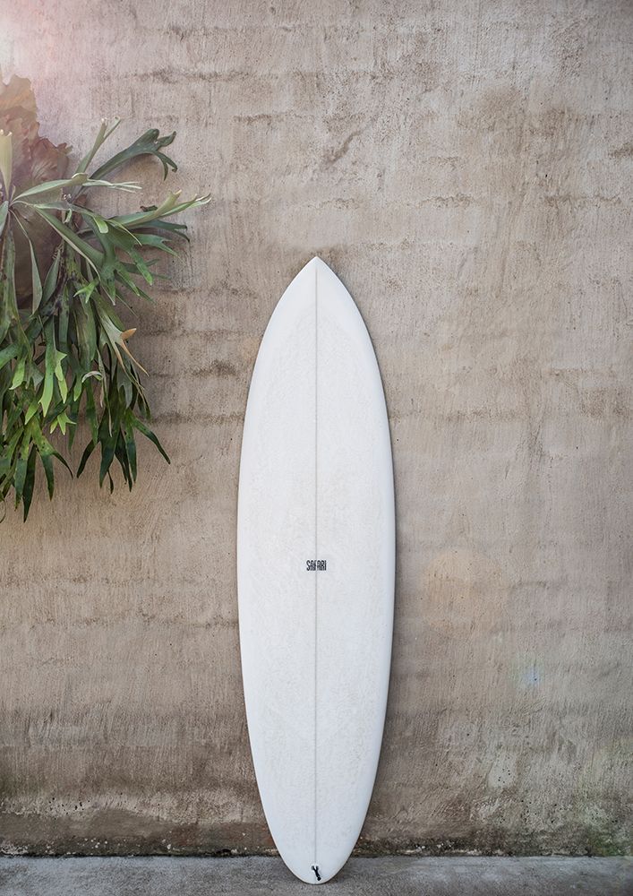 Safari Twinfin art print by Shot by Clint for $57.95 CAD