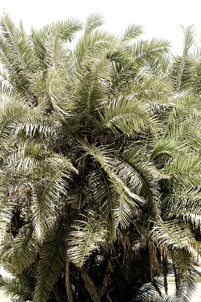 Sea Breeze No2 art print by Shot by Clint for $57.95 CAD