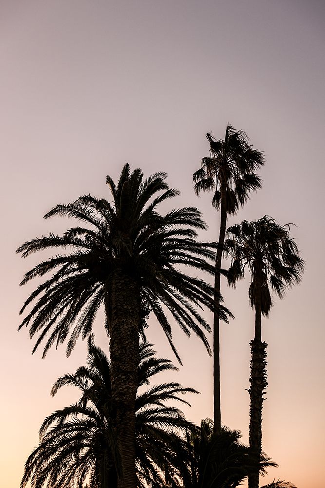 Sea Point art print by Shot by Clint for $57.95 CAD