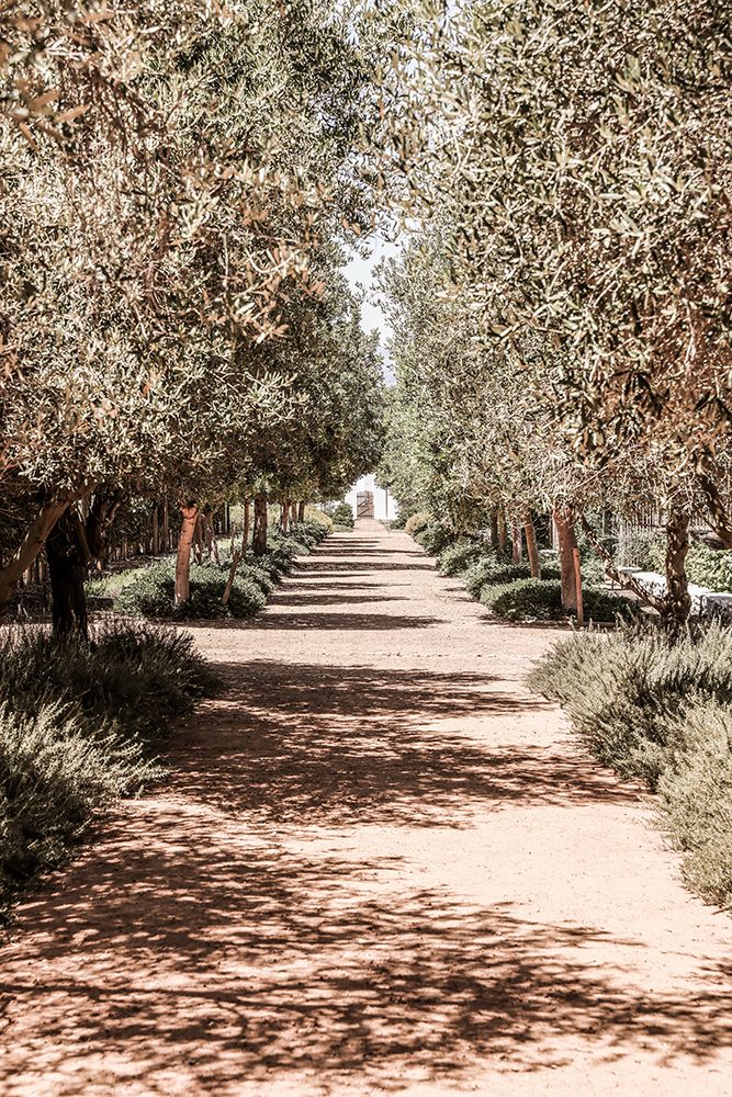 Secret Garden art print by Shot by Clint for $57.95 CAD