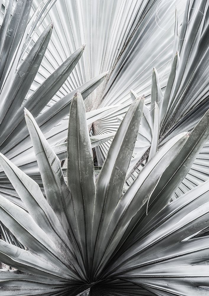 Silver Spray art print by Shot by Clint for $57.95 CAD