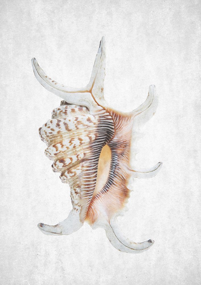 Spring Tide 03 art print by Shot by Clint for $57.95 CAD