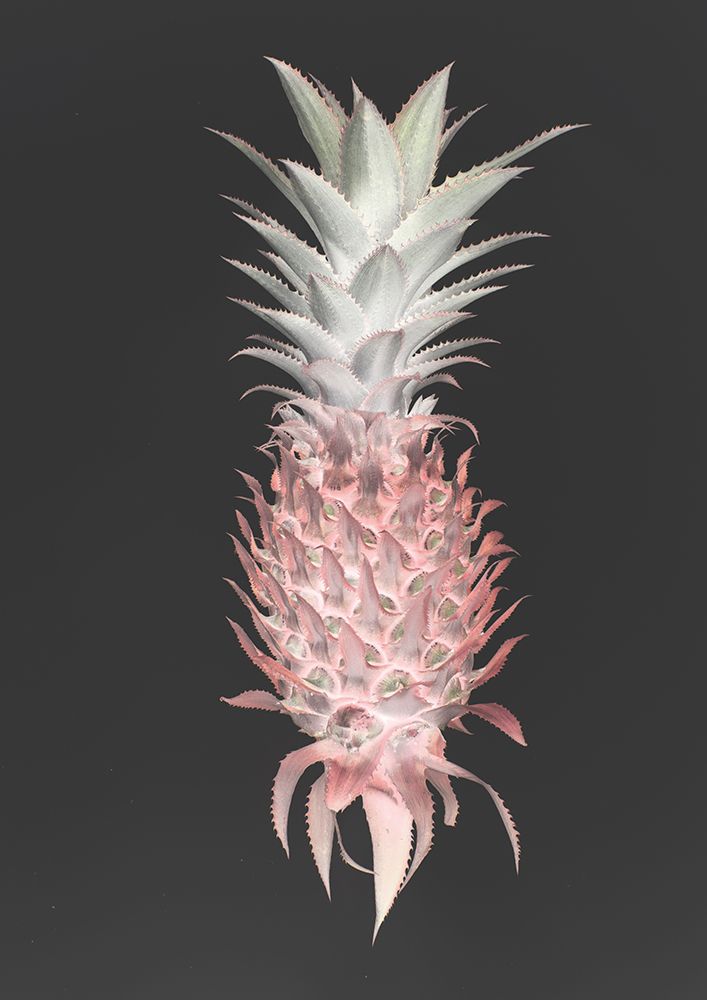 Strawberry Pine art print by Shot by Clint for $57.95 CAD
