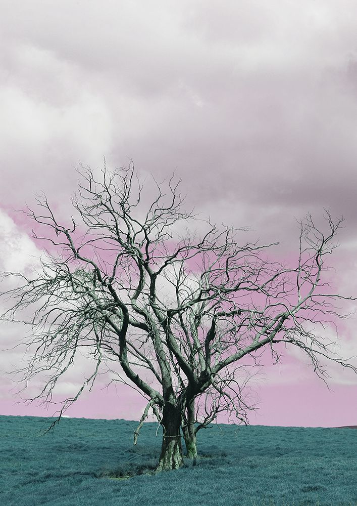 Suesscape 03 art print by Shot by Clint for $57.95 CAD