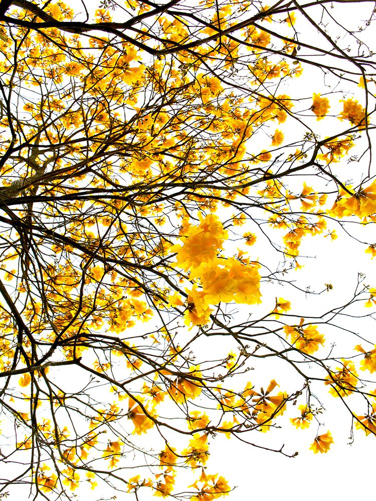Summer art print by Shot by Clint for $57.95 CAD