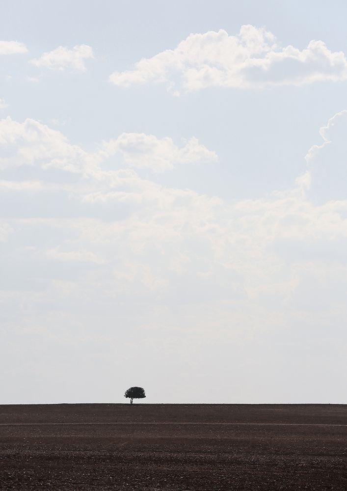 Swart Land No1 art print by Shot by Clint for $57.95 CAD