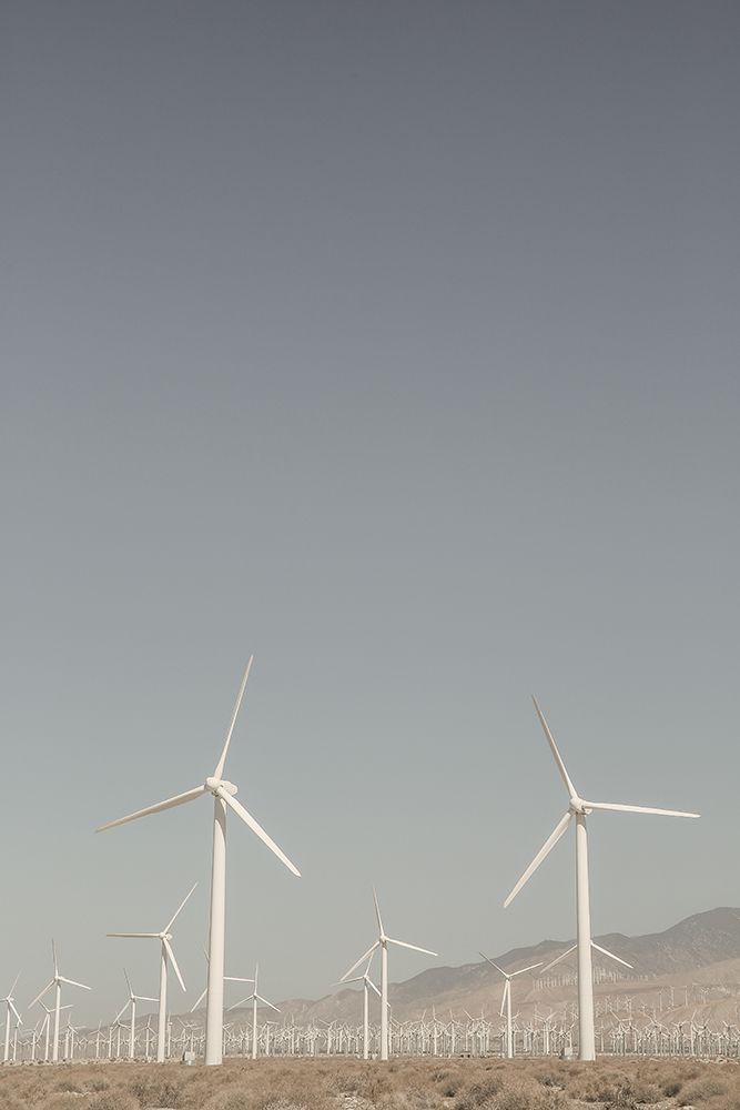 Windy art print by Shot by Clint for $57.95 CAD