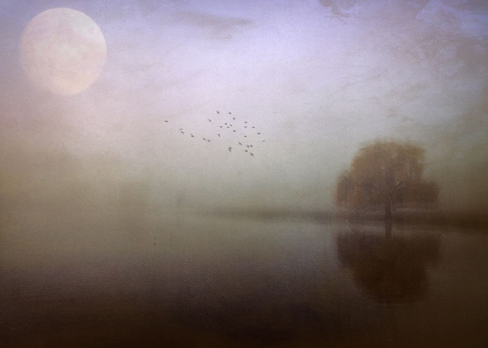 Some Mornings... art print by Robert Fabrowski for $57.95 CAD