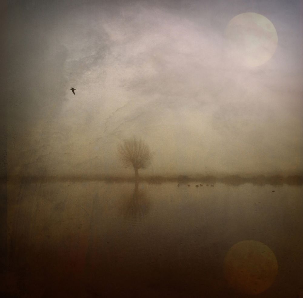 Some Mornings... art print by Robert Fabrowski for $57.95 CAD