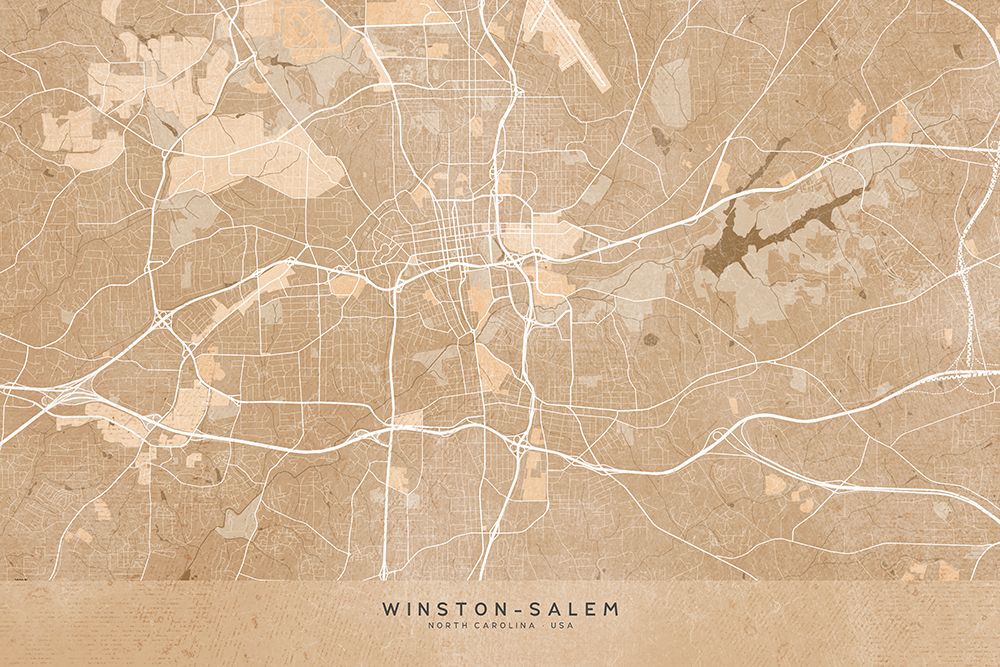 Map of Winston Salem (NC, USA) in sepia vintage style art print by Rosana Laiz Blursbyai for $57.95 CAD