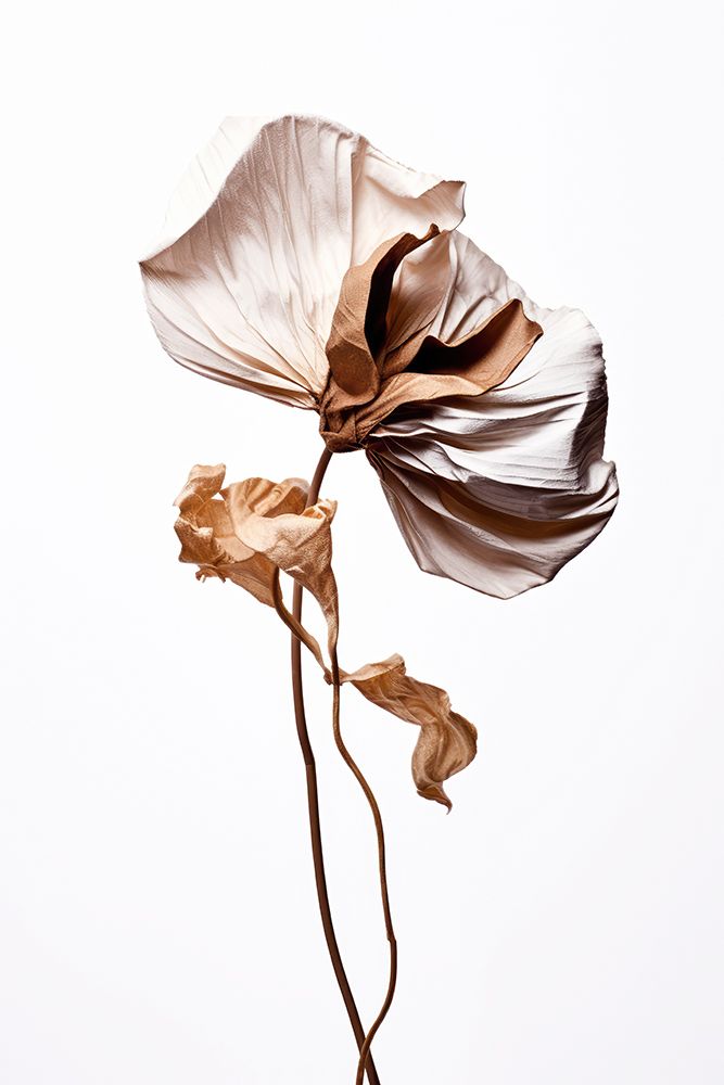 The Beauty Of Aging art print by Treechild for $57.95 CAD