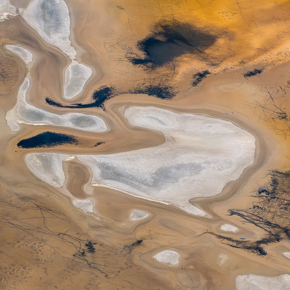 Golden Salt Flats Patterns art print by Robert Bolton for $57.95 CAD