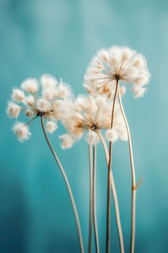Fluffy Flowers art print by Treechild for $57.95 CAD
