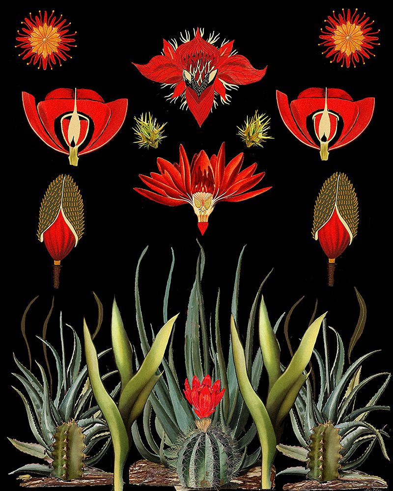 Cactus Invention.png art print by Giovanna Nicolo for $57.95 CAD