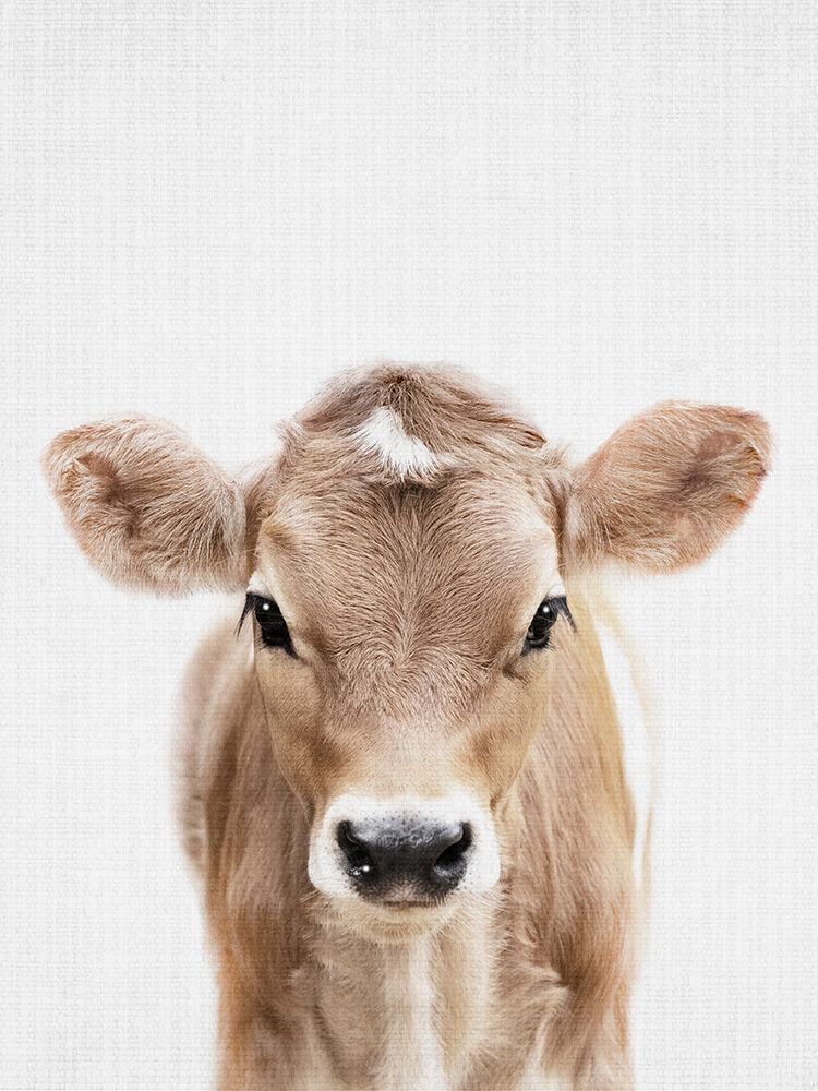 Peekaboo Baby Cow art print by Lola Peacock for $57.95 CAD