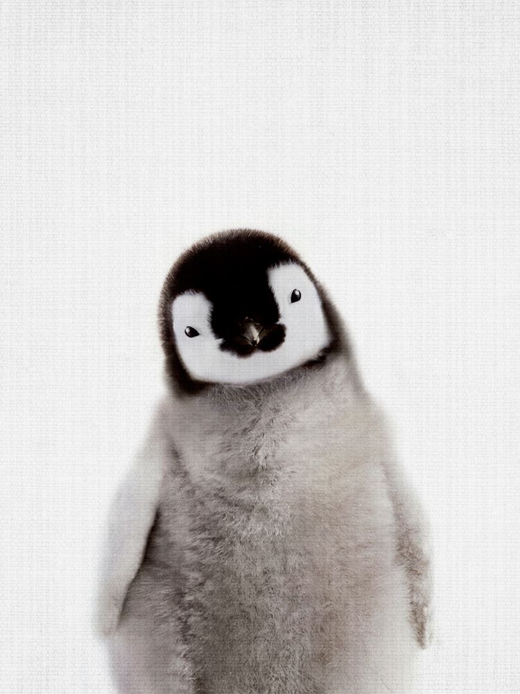 Peekaboo Baby Penguin art print by Lola Peacock for $57.95 CAD