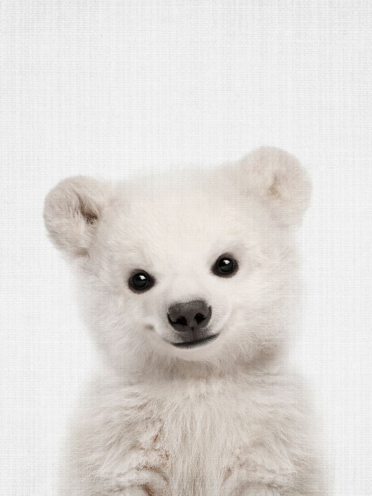 Peekaboo Baby Polar Bear art print by Lola Peacock for $57.95 CAD