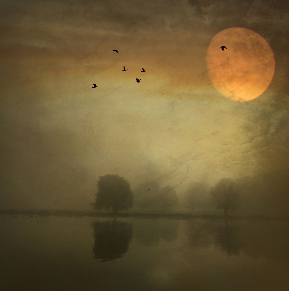 Some Nights... art print by Robert Fabrowski for $57.95 CAD