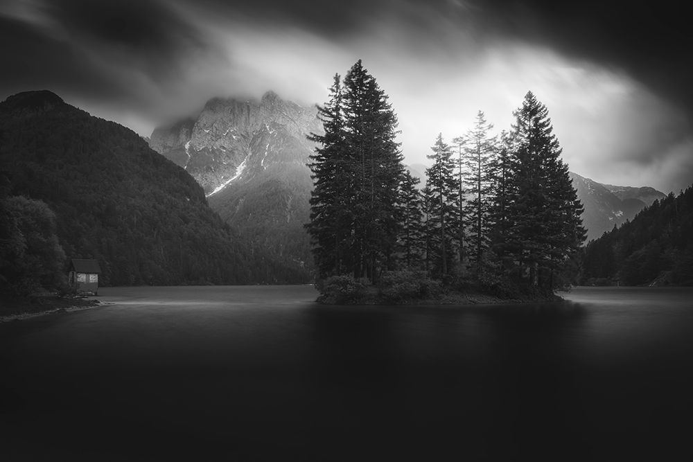 Paranoid art print by Thomas de Franzoni for $57.95 CAD