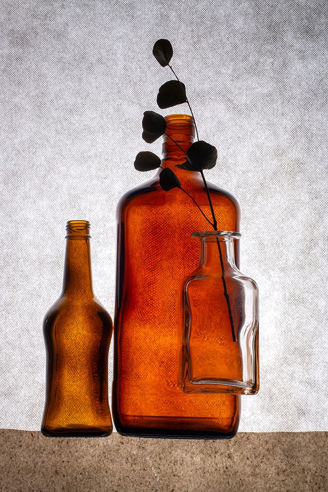 Still Life With Colored Bottles And A Dried Twig art print by Brig Barkow for $57.95 CAD