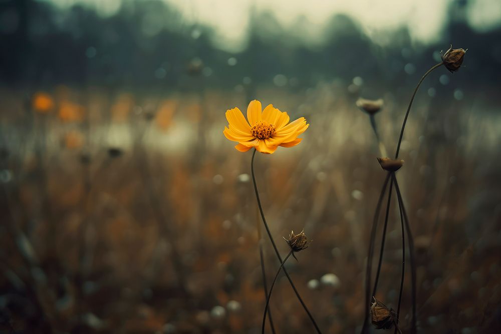 Yellow Flower art print by Treechild for $57.95 CAD
