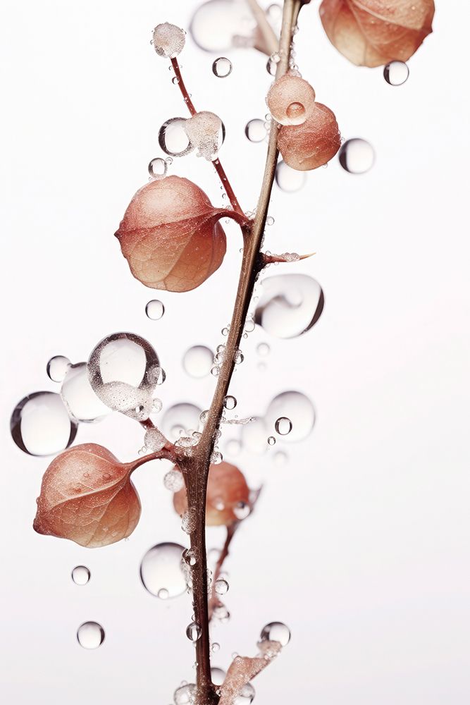 Drops On Leaf art print by Treechild for $57.95 CAD