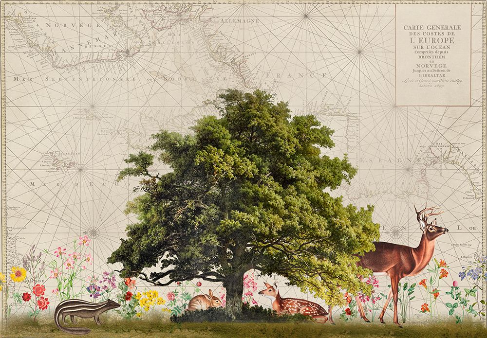 Nordic Woods No2 art print by Andrea Haase for $57.95 CAD