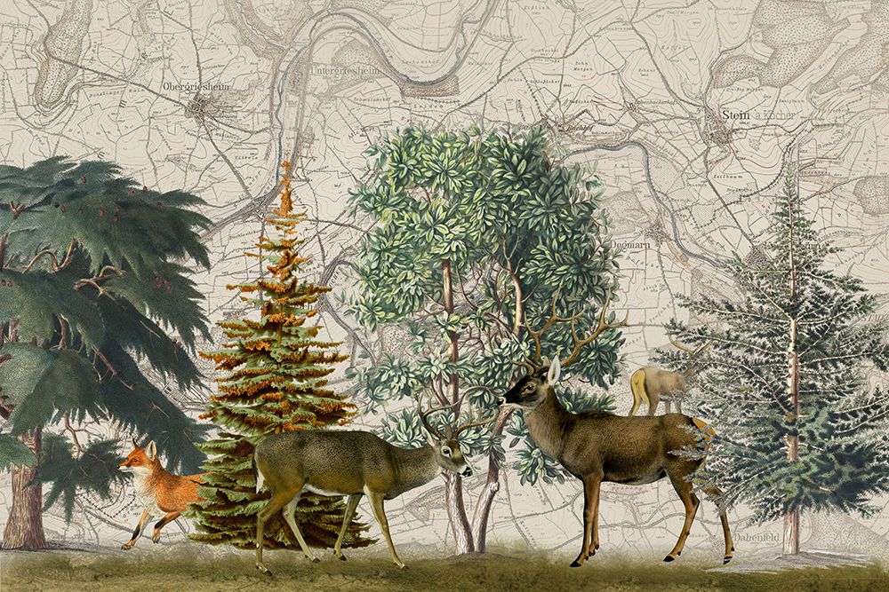 Nordic Woods No1 art print by Andrea Haase for $57.95 CAD