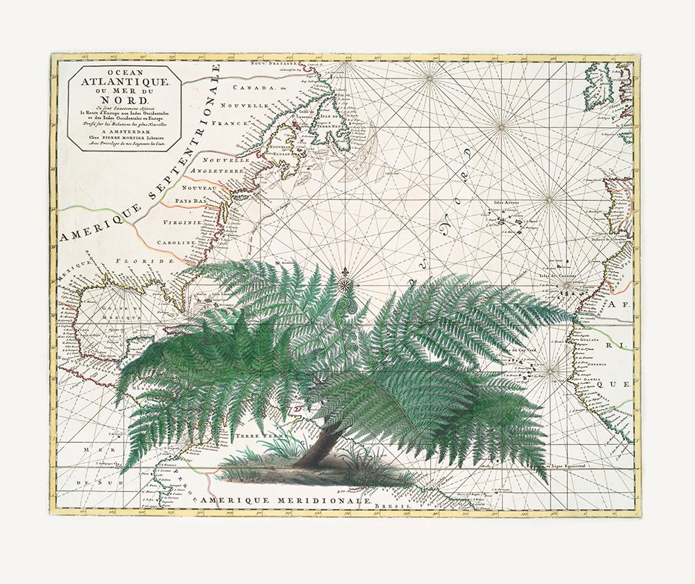 Tropical Empire No4 art print by Andrea Haase for $57.95 CAD