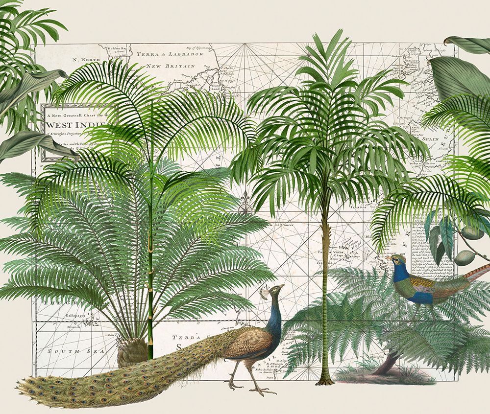 Tropical Empire No6 art print by Andrea Haase for $57.95 CAD