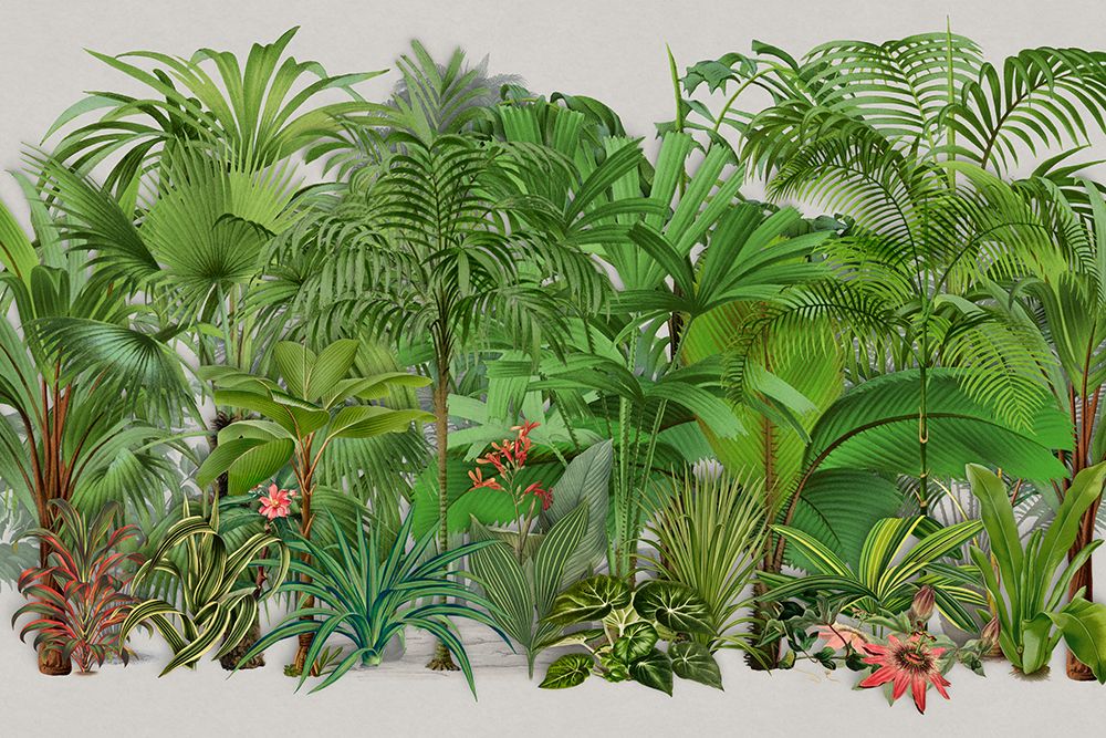 Exotic Wildlife 003 art print by Andrea Haase for $57.95 CAD
