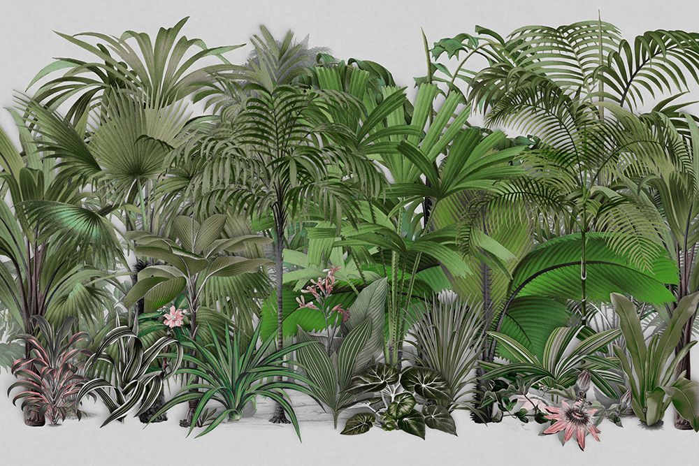 Exotic Wildlife 003 1 art print by Andrea Haase for $57.95 CAD