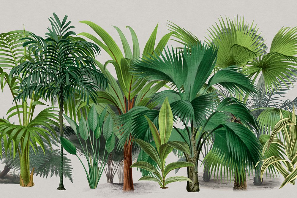 Exotic Wildlife 004 art print by Andrea Haase for $57.95 CAD
