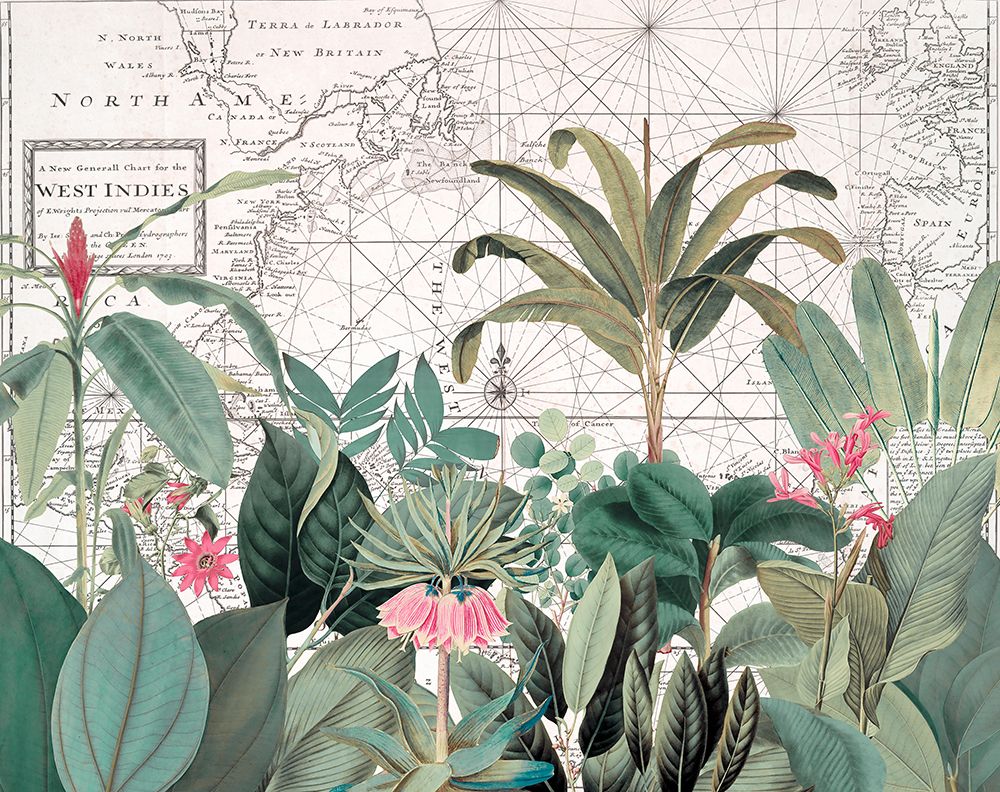 Exotic Wildlife 005 1 art print by Andrea Haase for $57.95 CAD